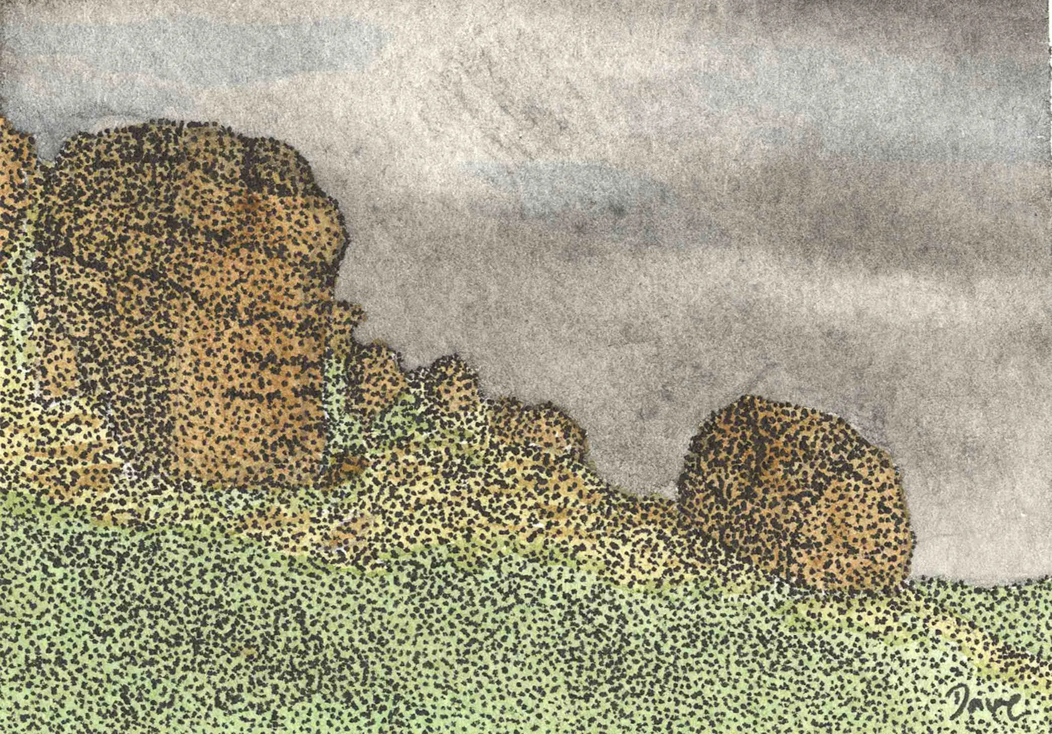 Book illustrations