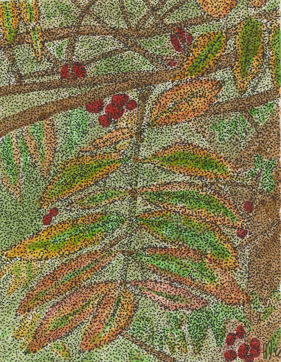 Watercolour painting — Autumn leaves and berries on the Chevin.