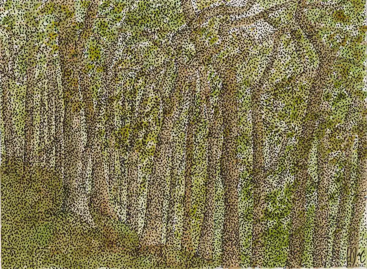 Watercolour painting — Trees in Shipley Glen.